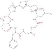 Heterophyllin B