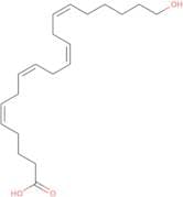 20-HETE - 0.01%, in ethanol
