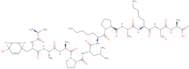 IGF-I Analog