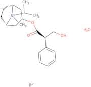 Ipratropium bromide monohydrate