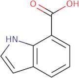 Indole-7-carboxylic acid