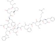 Kisspeptin-13 (human) trifluoroacetate salt