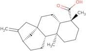 Kaurenoic acid