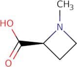 2-Azetidinecarboxylic acid, 1-methyl-, (2S)-
