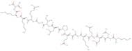 H-Lys-Asn-Asn-Gln-Lys-Ser-Glu-Pro-Leu-Ile-Gly-Arg-Lys-Lys-Thr-OH