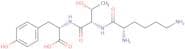 H-Lys-Thr-Tyr-OH