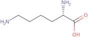 Lysine homopolymer