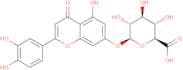 Luteolin-7-glucuronide