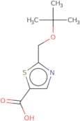 2-[(tert-Butoxy)methyl]-1,3-thiazole-5-carboxylic acid