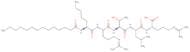 Myristoyl-Lys-Arg-Thr-Leu-Arg-OH