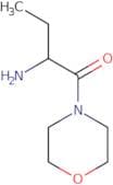 [1-(Morpholin-4-ylcarbonyl)propyl]amine hydrochloride