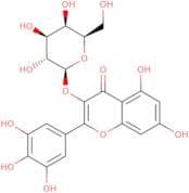 Myricetin-3-galactoside
