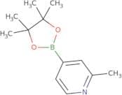 2-Methylpyridine-4-boronic acid pinacol ester