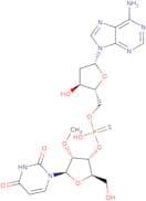 2'-O-Methyl-p-thiouridynyl-(3'->5')-2'-deoxyadenosine