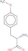 O-Methyl-L-tyrosine