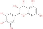 Myricetin