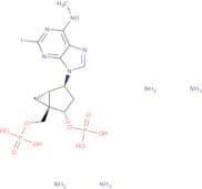 MRS 2500 tetraammonium