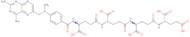 Methotrexate tetraglutamate