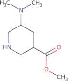 Methyl 5-(dimethylamino)piperidine-3-carboxylate