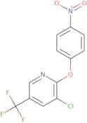 2-(4-Nitrophenoxy)-3-chloro-5-trifluoromethyl pyridine