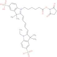 Cy5-NHS trimethylamine salt