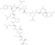 pp60 c-src (521-533)