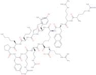 Polyphemusin II-Derived Peptide