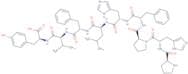 H-Pro-His-Pro-Phe-His-Leu-Phe-Val-Tyr-OH