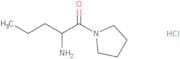 [1-(Pyrrolidin-1-ylcarbonyl)butyl]amine hydrochloride
