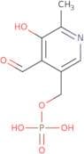 Pyridoxal-5'-phosphate hydrate