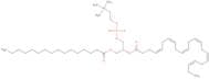 Palmitoyldocosahexaenoyl phosphatidylcholine