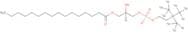 1-Palmitoyl-sn-glycero-3-phosphocholine