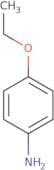 p-Phenetidine