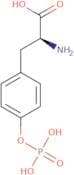 O-Phospho-L-tyrosine