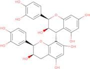 Procyanidin B2