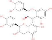 Procyanidin B1