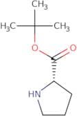 L-Proline tert-butyl ester