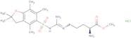Nomega-(2,2,4,6,7-Pentamethyldihydrobenzofuran-5-sulfonyl)-L-arginine methyl ester hydrochloride