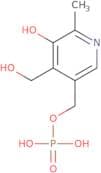 Pyridoxine-5'-phosphate