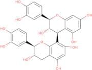 Procyanidin B3
