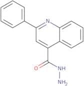 2-Phenylquinoline-4-carbohydrazide