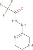 N-[(2Z)-Piperazin-2-ylidene]-2,2,2-trifluoroacetohydrazide