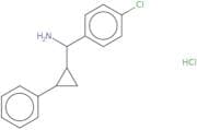 (4-Chlorophenyl)(2-phenylcyclopropyl)methanamine hydrochloride