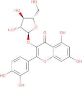 Quercetin-3-arabinoside