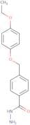 4-(4-Ethoxyphenoxymethyl)benzohydrazide