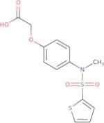 2-[4-(N-Methylthiophene-2-sulfonamido)phenoxy]acetic acid