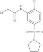 2-Chloro-N-[2-chloro-5-(pyrrolidine-1-sulfonyl)phenyl]acetamide