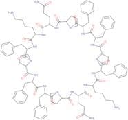 187-1, N-WASP inhibitor