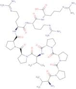 Ras Inhibitory Peptide