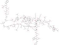 Relaxin H2 (human) trifluoroacetate salt